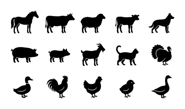 Farm animal silhouettes set of 15 black icons, livestock and poultry vector collection, domestic animals and birds for agriculture design