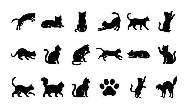 Black cat silhouette collection, 17 feline poses and paw print vector set, domestic kitten shapes in various positions, animal icons for pet branding