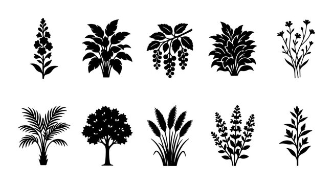 Minimalist black plant silhouettes, set of 10 botanical icons, flat vector nature elements for landscape design and organic branding