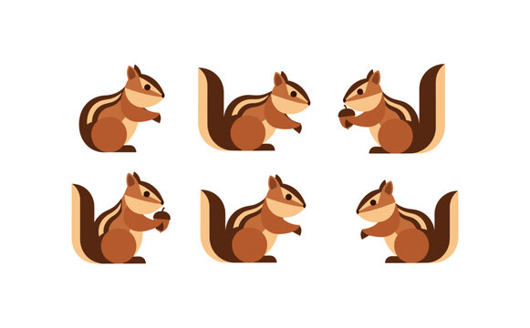 Cute Chipmunk Collection