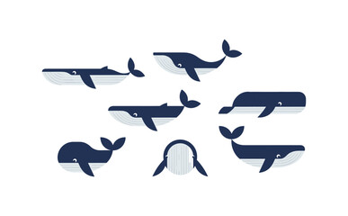 Obraz premium Whale Collection