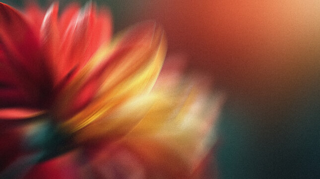 Vibrant floral motion blur showcasing red and yellow petals against a soft background, emphasizing the dynamic beauty of nature in an abstract style