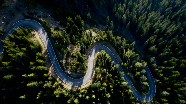 Aerial view of a winding road through a dense forest with trees on both sides of the asphalt highway
