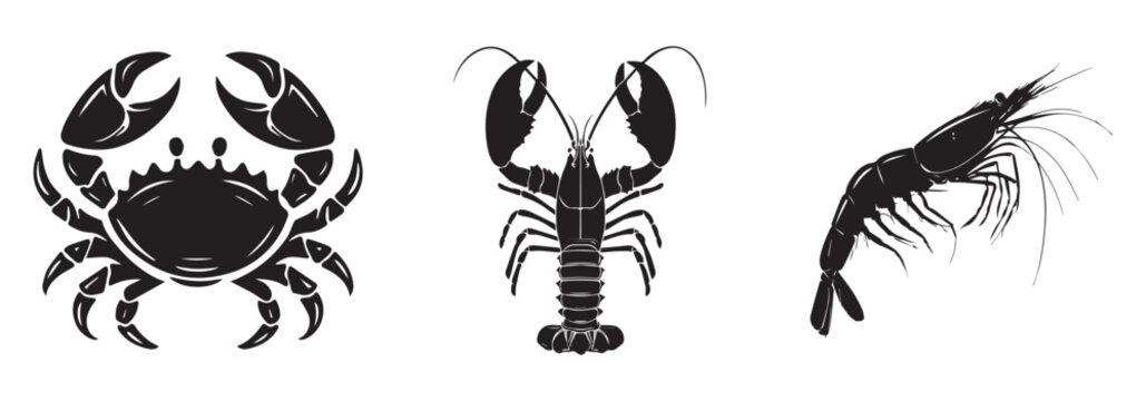 crustaceans vector illustration, crab lobster shrimp flat design