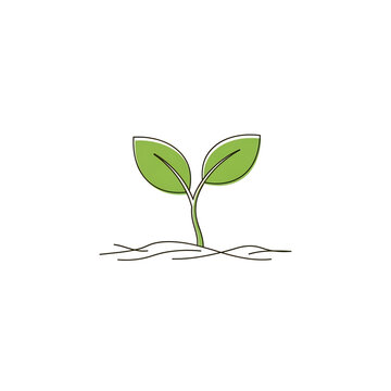 Small seedling sprouting representing growth and new life.