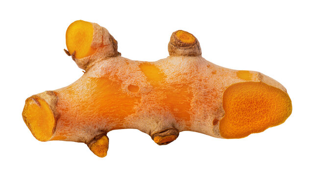 Isolated fresh raw turmeric root rhizome showing vibrant orange cut surfaces, healthy spice ingredient