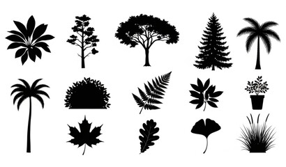 Plant and Tree Silhouette Collection Nature Vector Illustration © SABBIRAHMAD