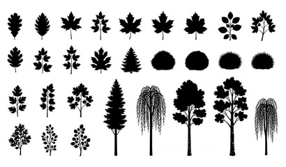 Plant and Tree Silhouette Collection Nature Vector Illustration © SABBIRAHMAD
