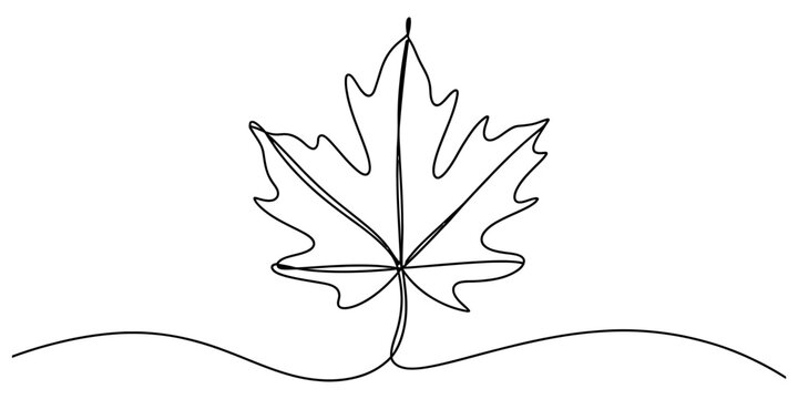 A single continuous line drawing of a maple leaf isolated on a clean white background creates a minimalist artistic sketch. Vector, illustration