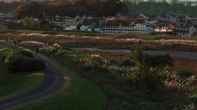 河川敷と堤防沿いの遊歩道。東京郊外の風景。