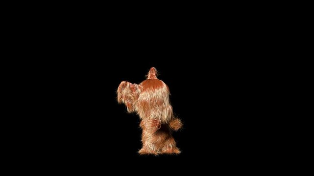 Cute fluffy hairy 3d character dancing against black
