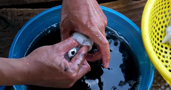 Squid cleaning and preparation by hand with ink release washing in blue basin and draining in yellow colander showing traditional Asian seafood process