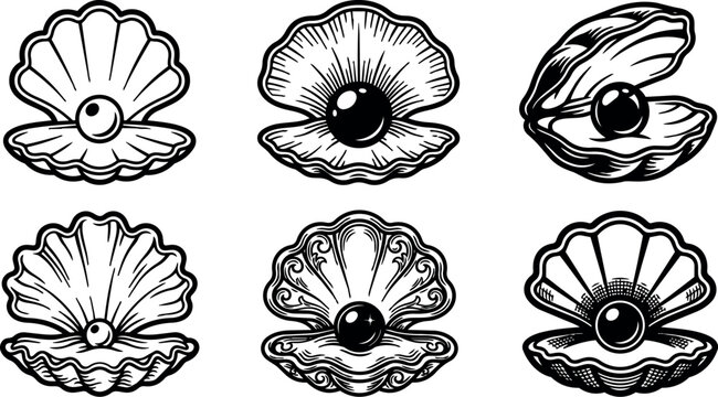 Black and white pearl shell collection with detailed line art
