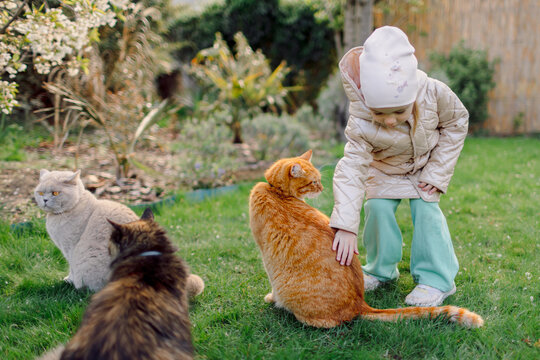 Child girl with her pet cats in backyard garden