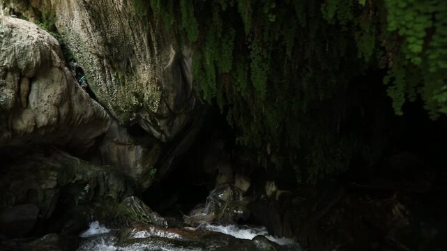 Beautiful lush green ferns hang over a dark and mysterious rocky cave opening, while a fresh mountain stream gently flows over smooth wet stones in the peaceful forest.

