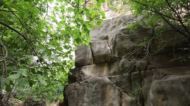 The video begins with a close-up of a highly textured porous rock overhang. The camera then slowly tilts upwards revealing a steep, rugged cliff face with green vegetation.

