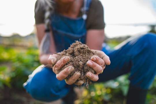 Close up of female famer hands holding soil outdoors at community farm.