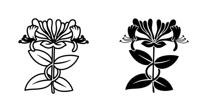 Honeysuckle Flower Silhouette and Outline Vector Set