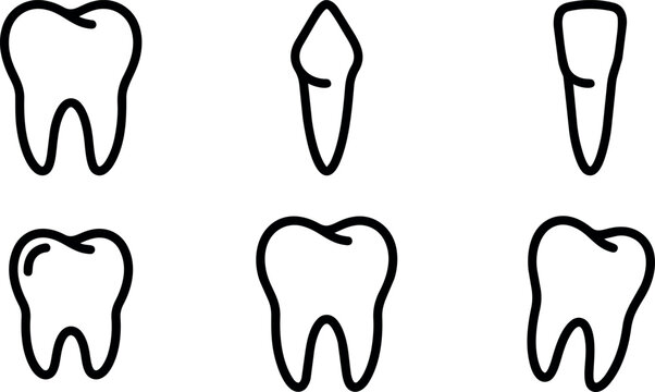 Black and white tooth anatomy icons with different perspectives and details