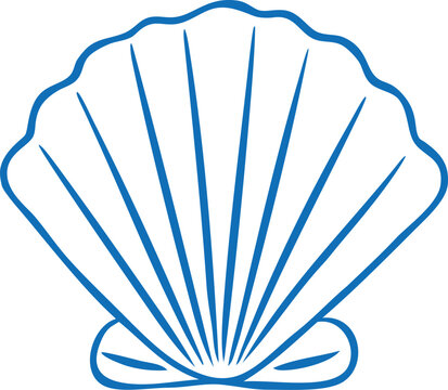 Seashell blue line art, vector hand drawn mollusk conch aquatic creature, underwater habitat, nature sea and ocean fauna
