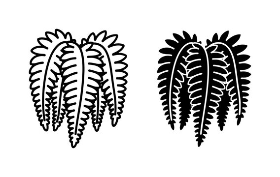 Fern Leaf Silhouette and Outline Vector Set