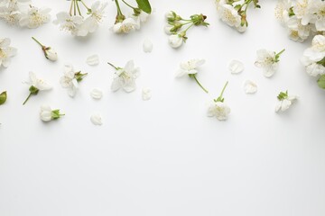 Naklejka premium Beautiful cherry tree blossoms on white background, flat lay. Space for text