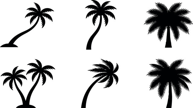 Black silhouette palm tree icons with varying trunk shapes and leaf styles