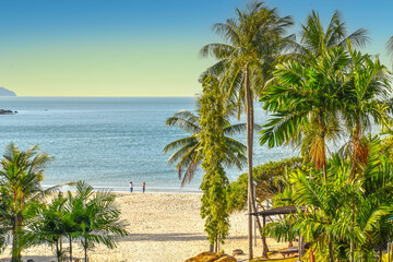 Fototapeta premium tropical beach with palm trees in Thailand