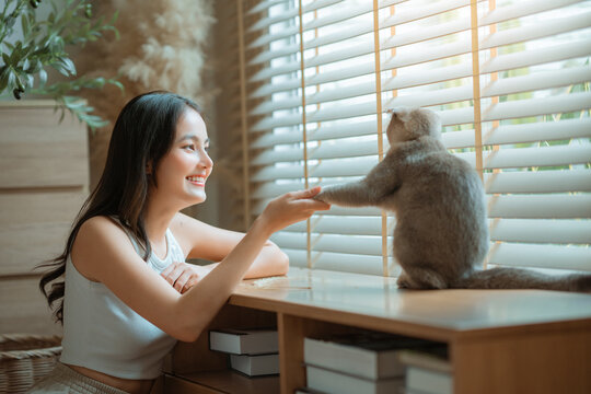 Beautiful young Asian woman smiling and holding her cat's paw by the window at home. Heartwarming pet companionship and domestic lifestyle concept. Natural light through blinds creates a cozy mood