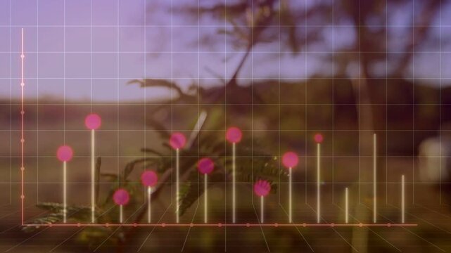 Bars illuminating and driving analytics, bars rising, pink dots appearing, branch shifting on grid