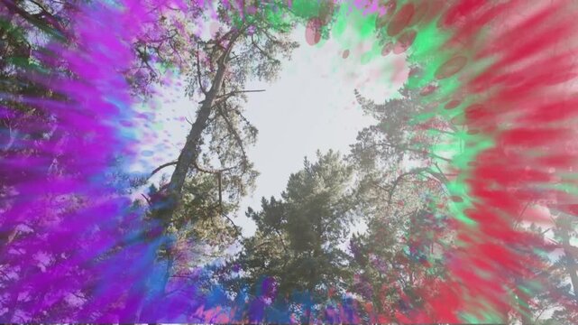 Faint arc appearing over pine canopy, colorful ring forming expanding rotating dispersing for tech