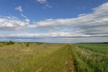 Fototapeta premium Open field, dirt path, clouds