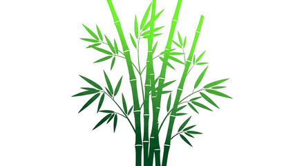 Obraz premium Green bamboo stalks with leaves