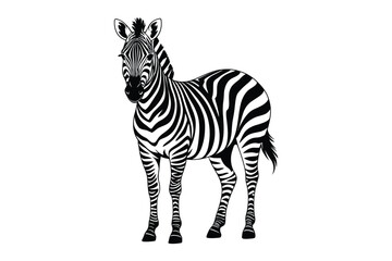 Obraz premium Illustration of a zebra with stripes full body wildlife illustration