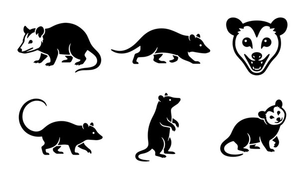 Opossum silhouette vector set, black and white marsupial icons, wild opossum animal illustrations, 6 opossum character graphics for nature logos