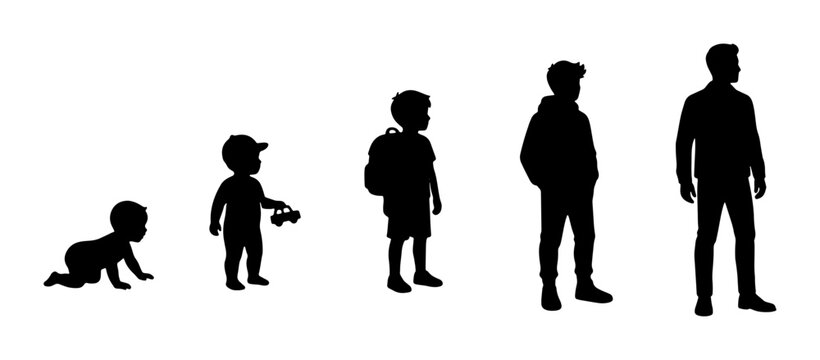 Human life cycle silhouettes showing male growth stages, evolution of man from baby to adult, aging process vector set of five figures