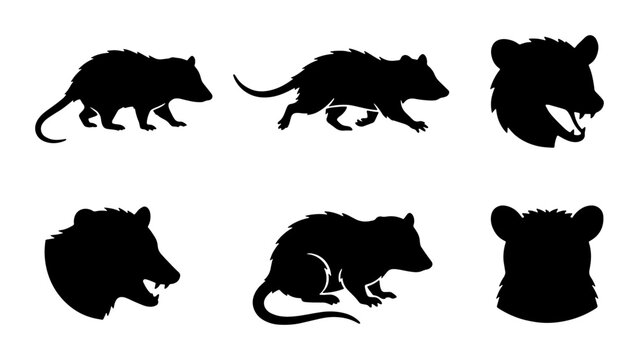 Opossum silhouette vector set, wild marsupial animal icons, black opossum head and body shapes, 6 wildlife graphics for nature design