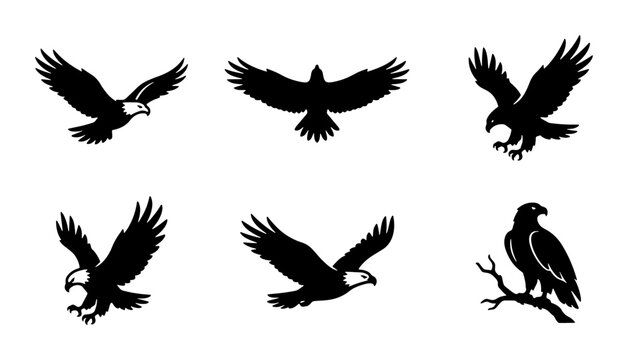 Bald eagle silhouette vector set, 6 black bird of prey icons, flying hawk and soaring falcon illustrations, majestic wildlife predator graphics