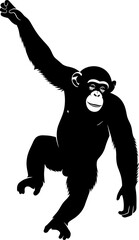 Fototapeta premium Chimpanzee silhouette climbing or hanging on white background for wildlife education and jungle nature designs