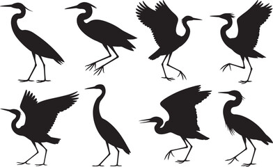 Obraz premium Eight silhouette herons birds in various poses with open wings and standing on legs.