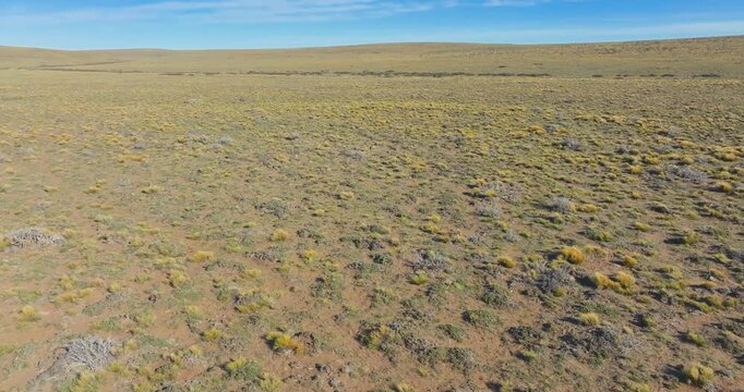 4K video; slow forward drone flight over Pampas sparsely covered with short grass and low shrubs, Patagonia Argentina