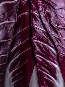 red chicory leaves