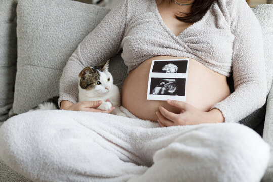 Pregnant woman hugging baby bump, holding ultrasound picture and relaxing on couch with cute cat in modern living room. Fertility and maternity. Happy Mothers day. Love and care concept