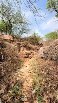 Aravali hills Gurgaon Haryana Panchgaon 