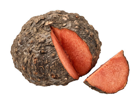 Elephant foot yam or amorphophallus paeoniifolius isolated on transparent background