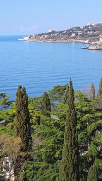 Coastal town and terraced buildings on sunlit hills overlooking calm blue black sea waters, framed by lush cypress and pine trees under a clear summer sky