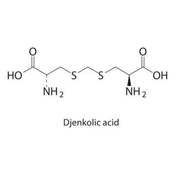 Djenkolic acid skeletal structure. amino acid compound schematic illustration. Simple diagram, chemical formula.