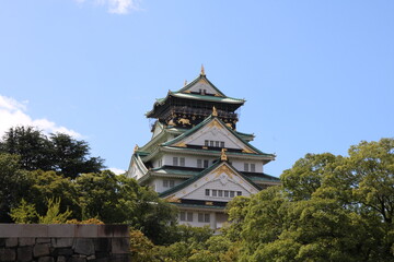 Naklejka premium japanese castle in the park