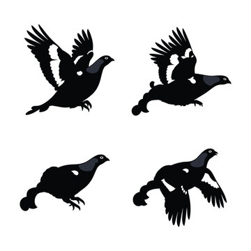 Black grouse silhouette icon set, flying game bird vector illustration, minimalist wild grouse silhouettes isolated on white background, hand drawn bird elements for hunting and nature branding.