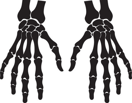 Black silhouette of two skeletal hands with visible phalanges and metacarpals on white background, also transparent background